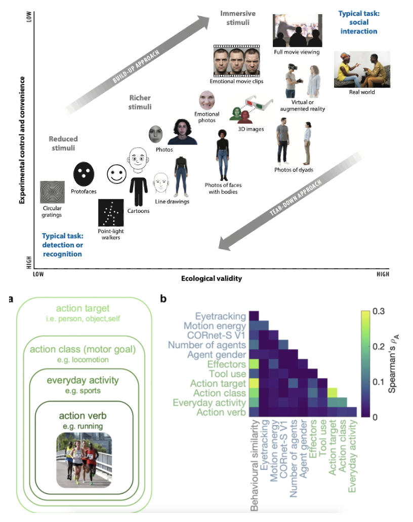 Two new papers in Annual Review of Vision Science and Nature Comms Biology