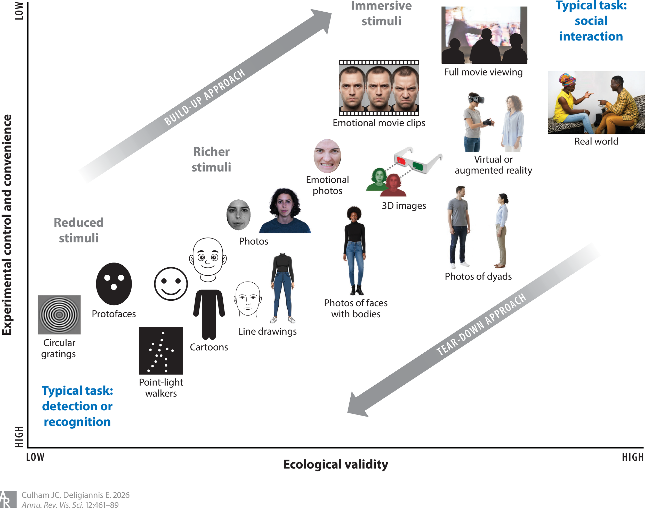 New Annual Review of Vision Science paper out now