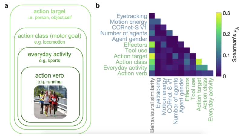 A new paper in Nature Comms Biology