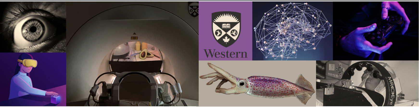 Screenshot 2026-01-10 at 5.57.00 PM.png