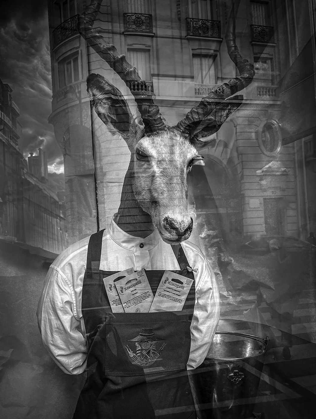 18-Window Display-Paris.jpg