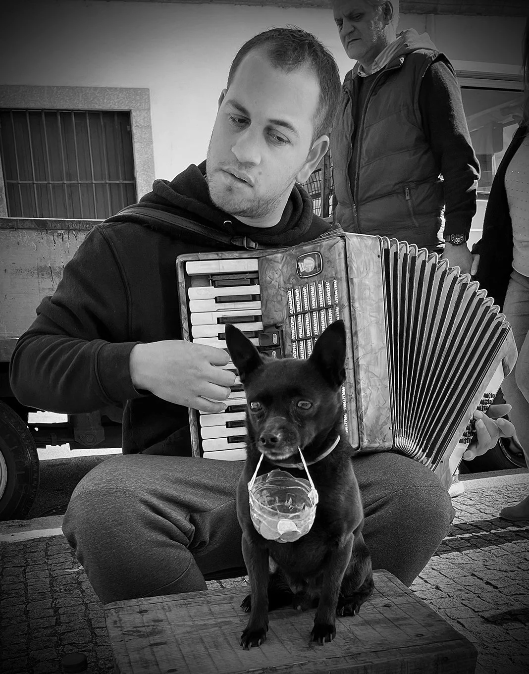 Man and Dog-1.jpg
