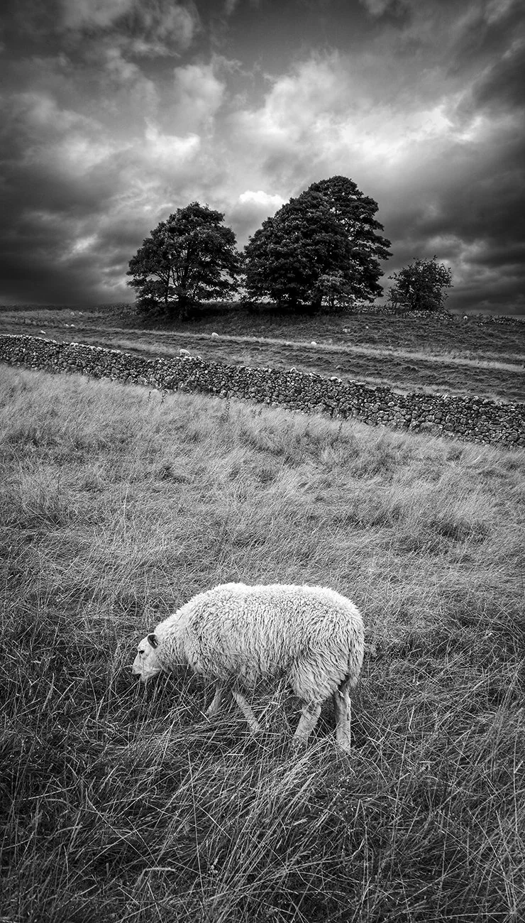 26-Yorkshire Dales.jpg