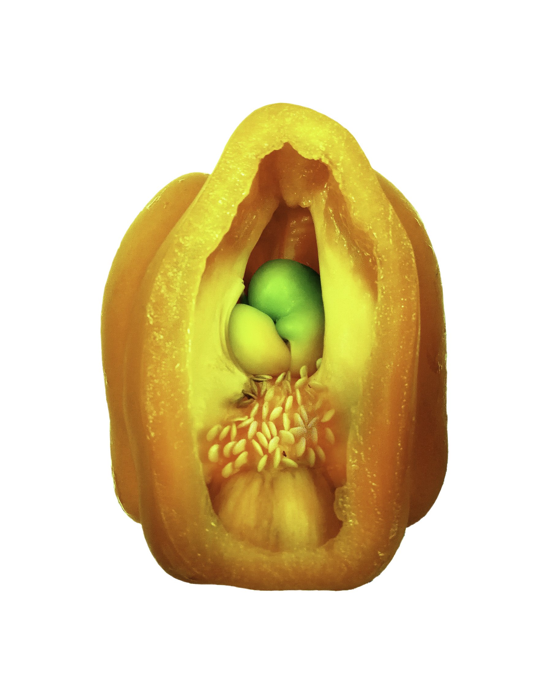 Pepper.jpg
