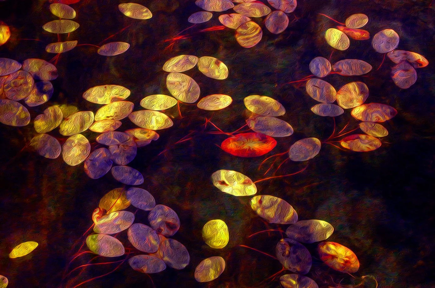 45-Water Lillies.jpg