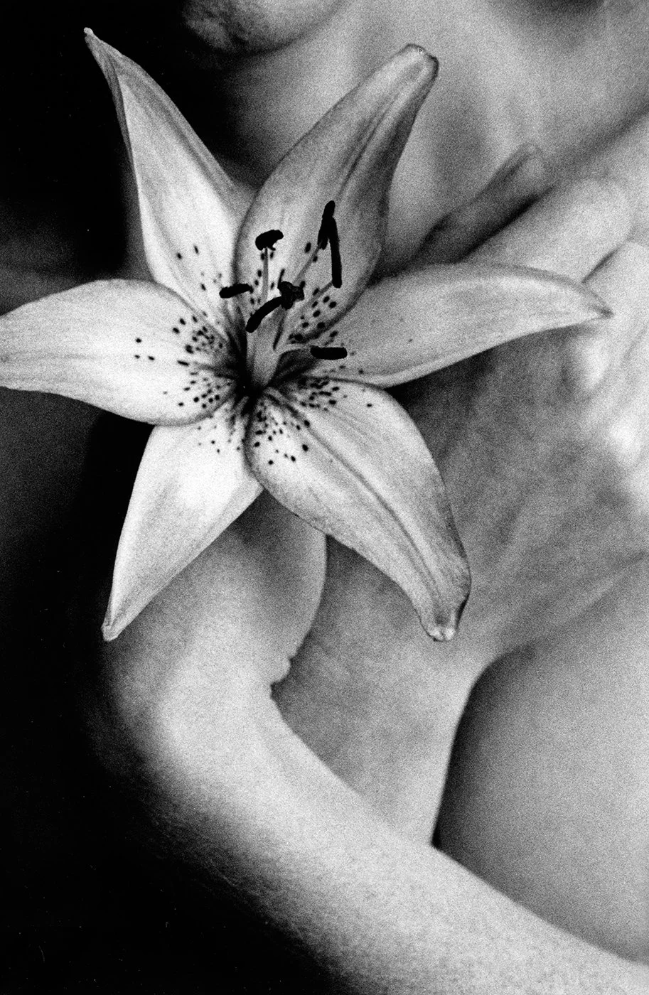 6-JB Lilly.jpg