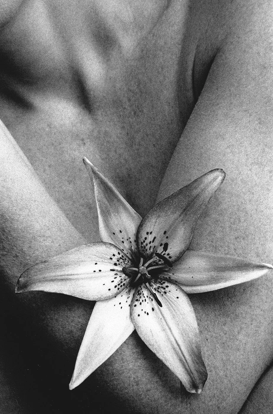5-JB Lilly.jpg