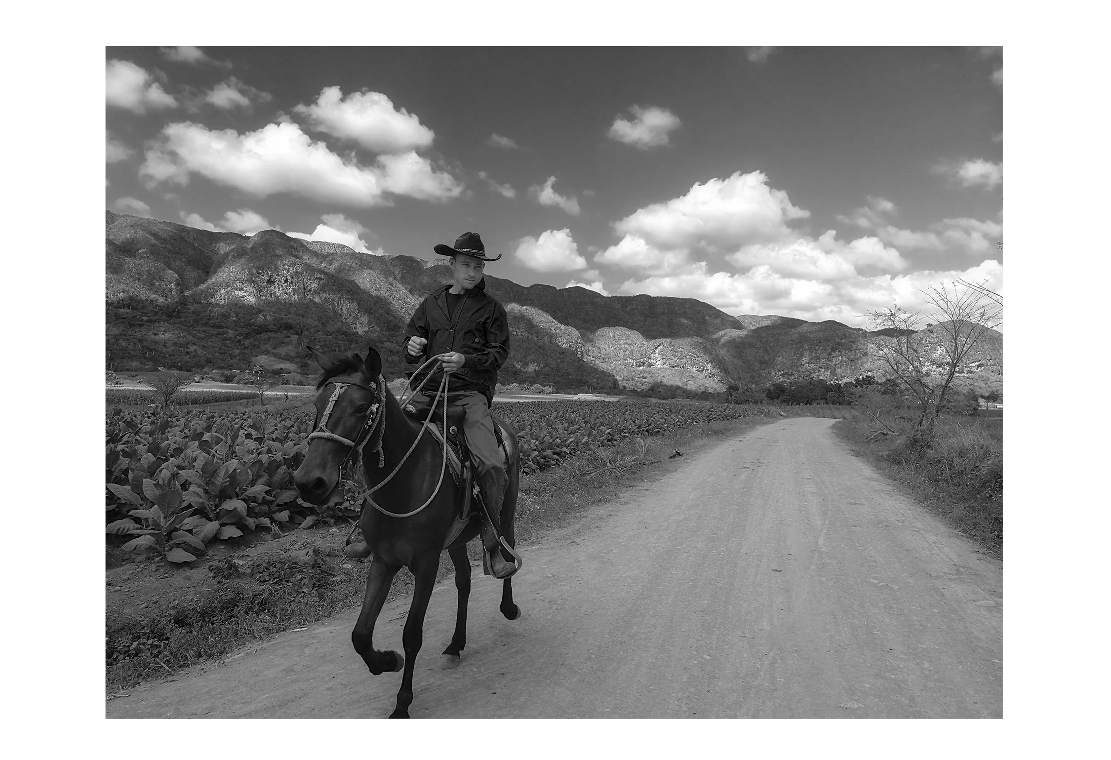 13x19 Cuban Cowboy-240dpi-8 Bit.jpg