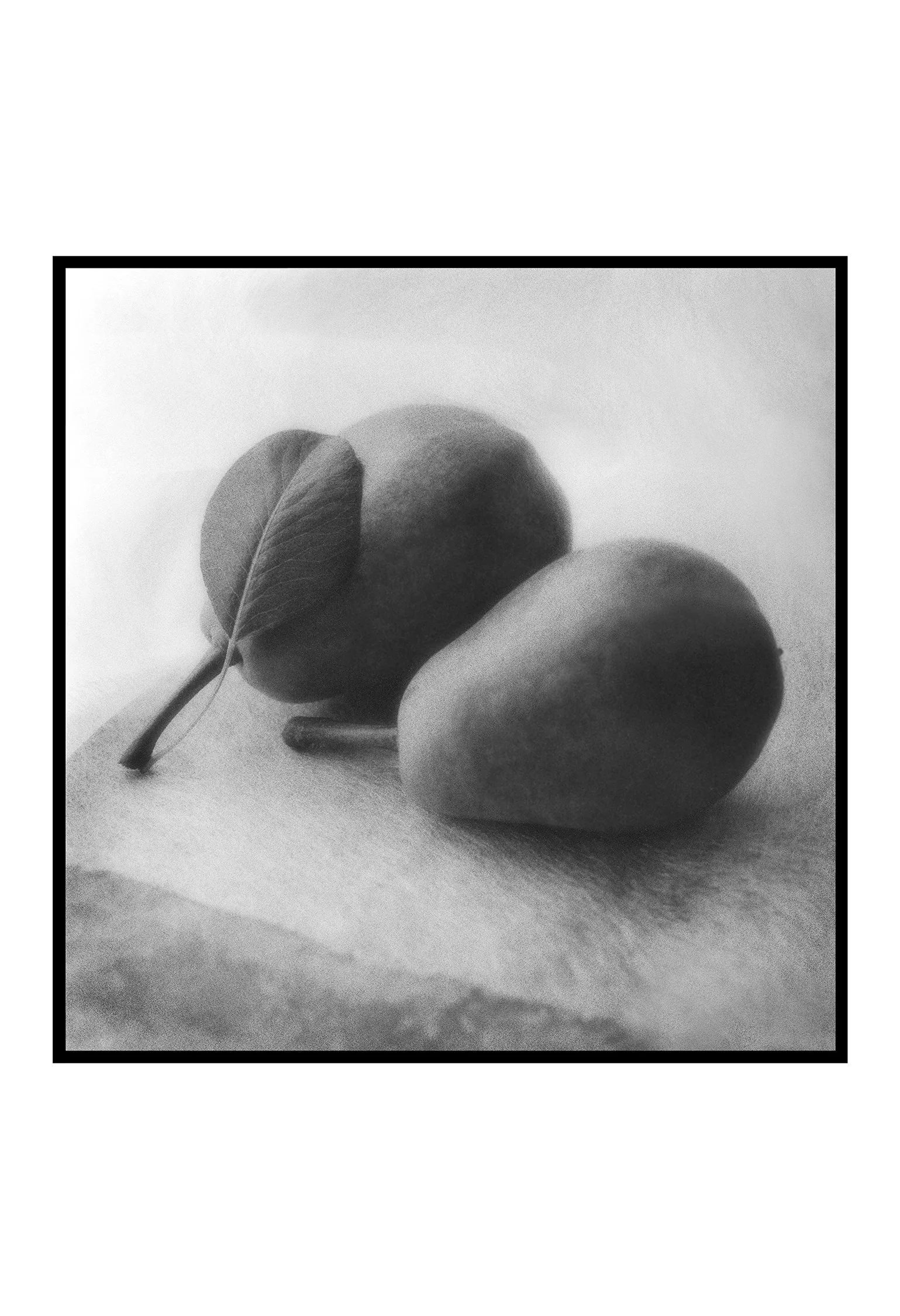 13x19 Two Pears-240dpi-8 Bit.jpg