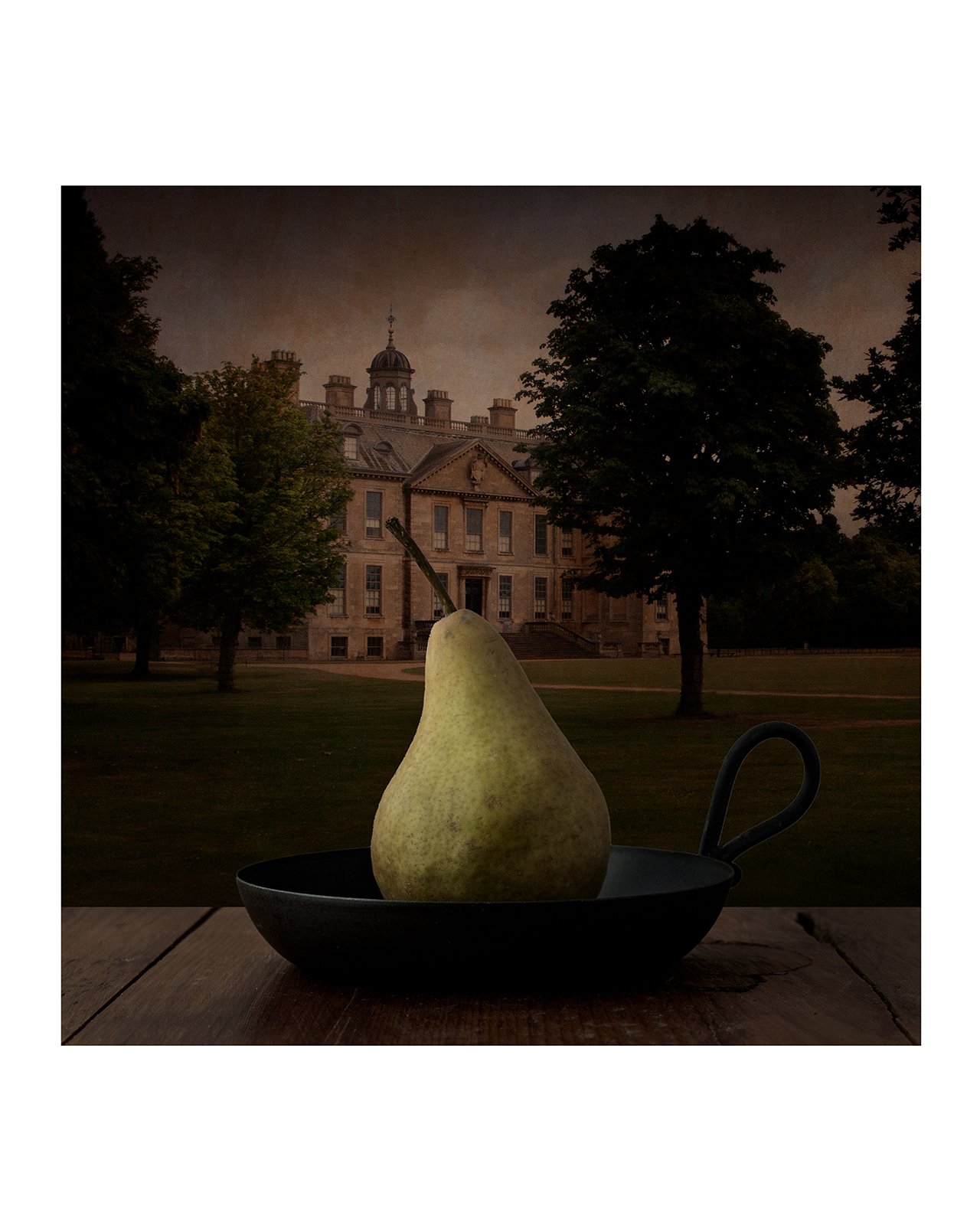 Pear Study-2.jpg