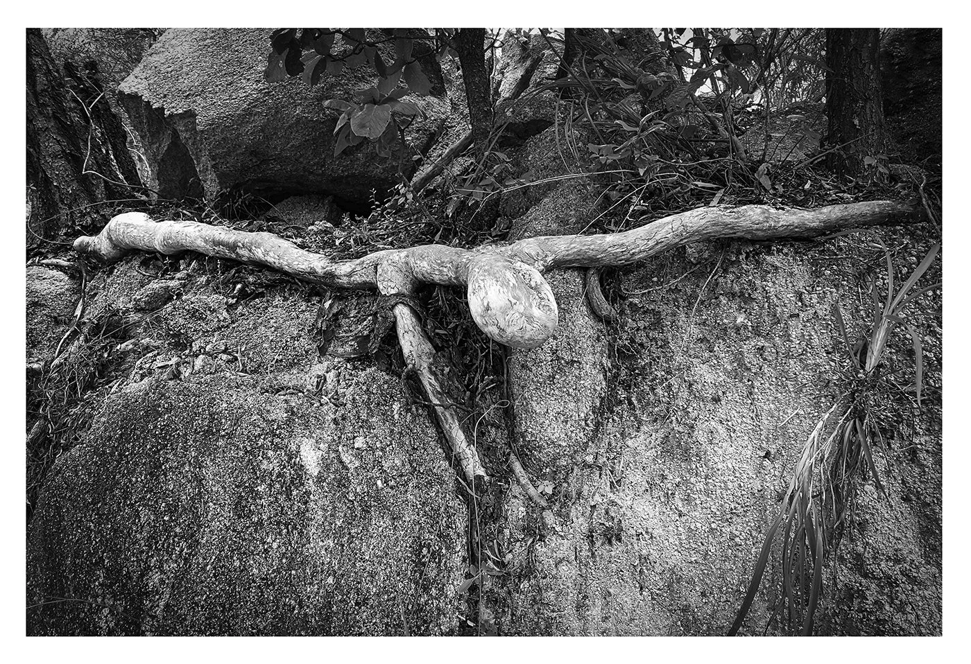 Untitled-1.jpg