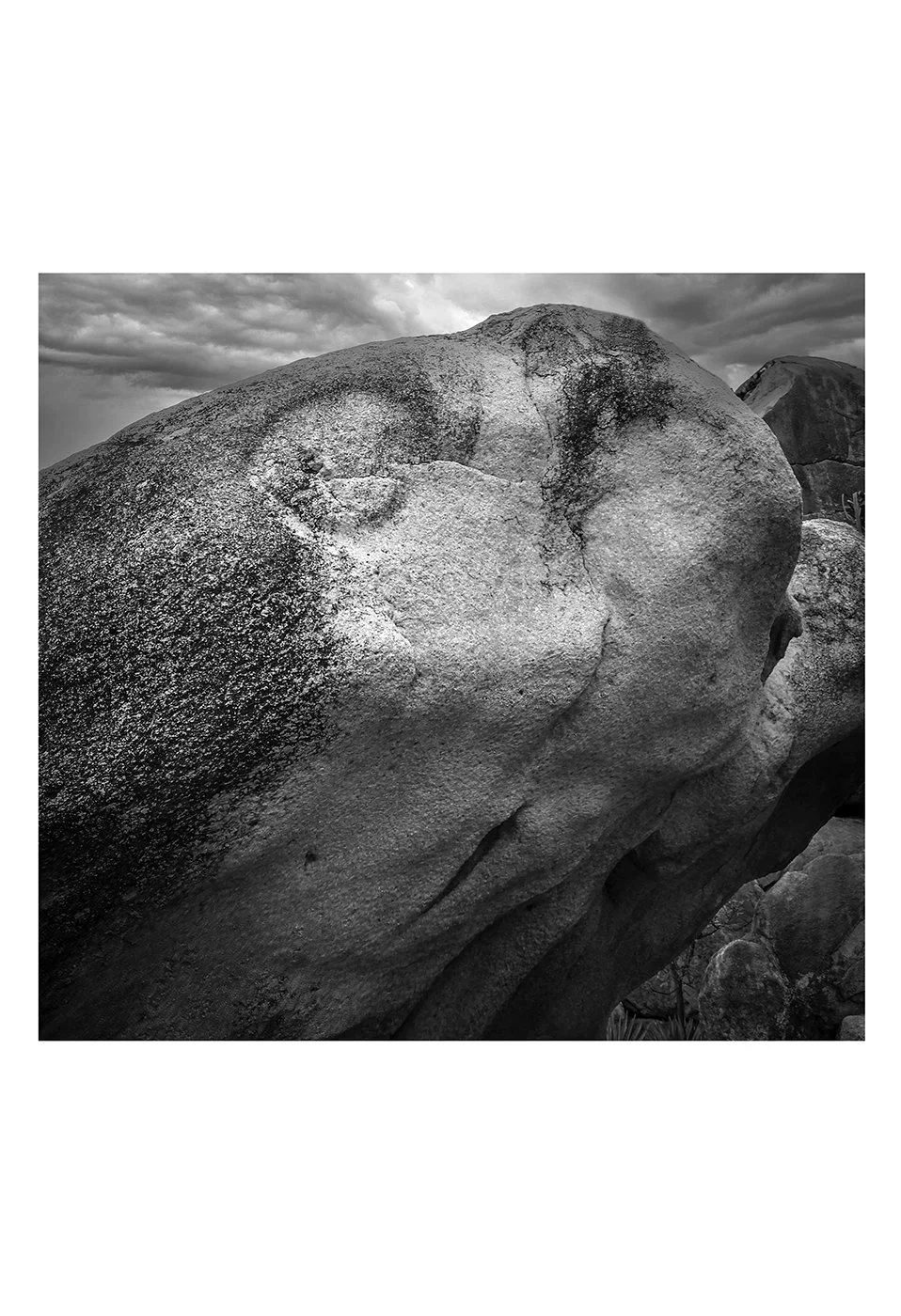 Untitled-13.jpg