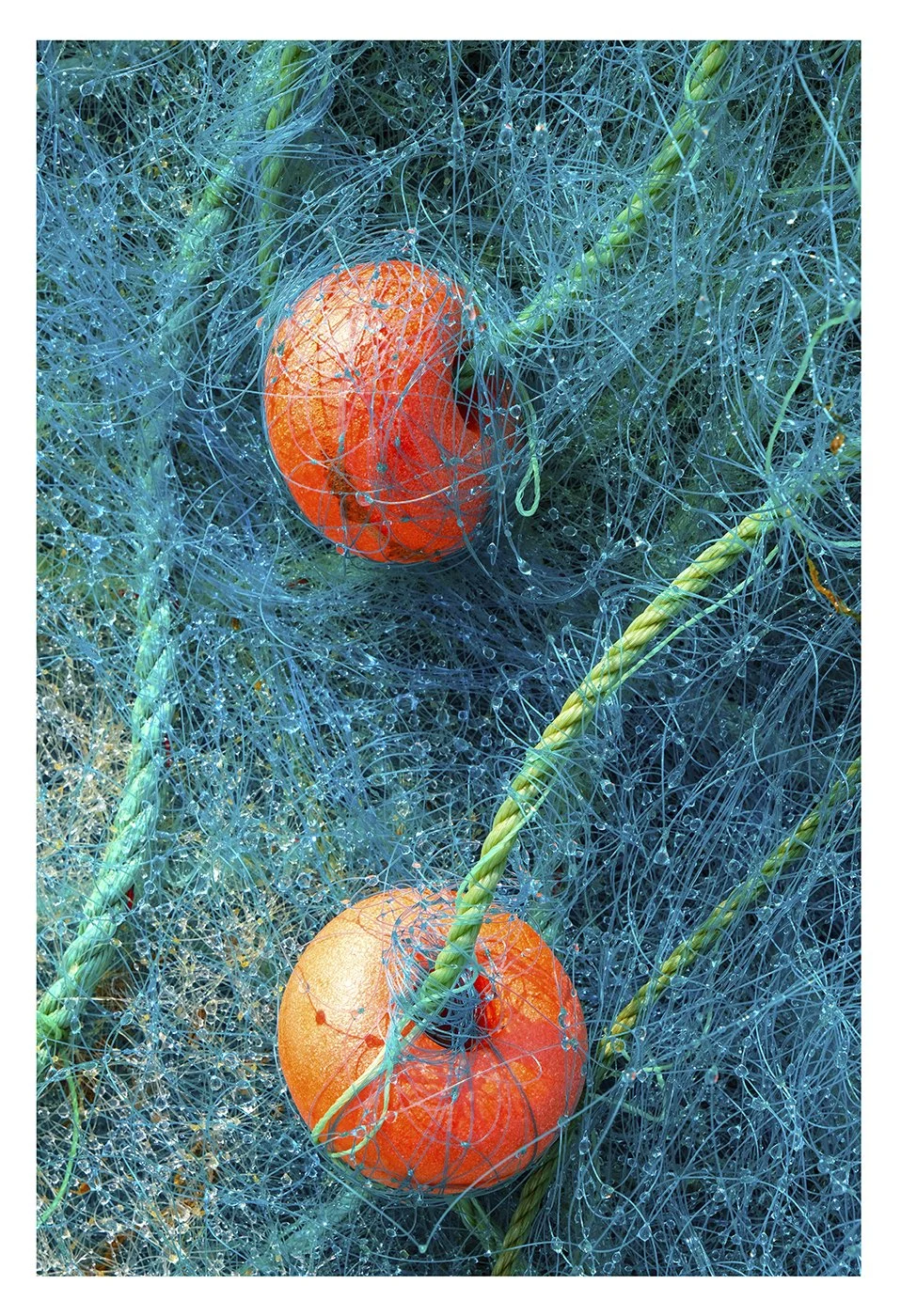 Fishing Net Algave.jpg