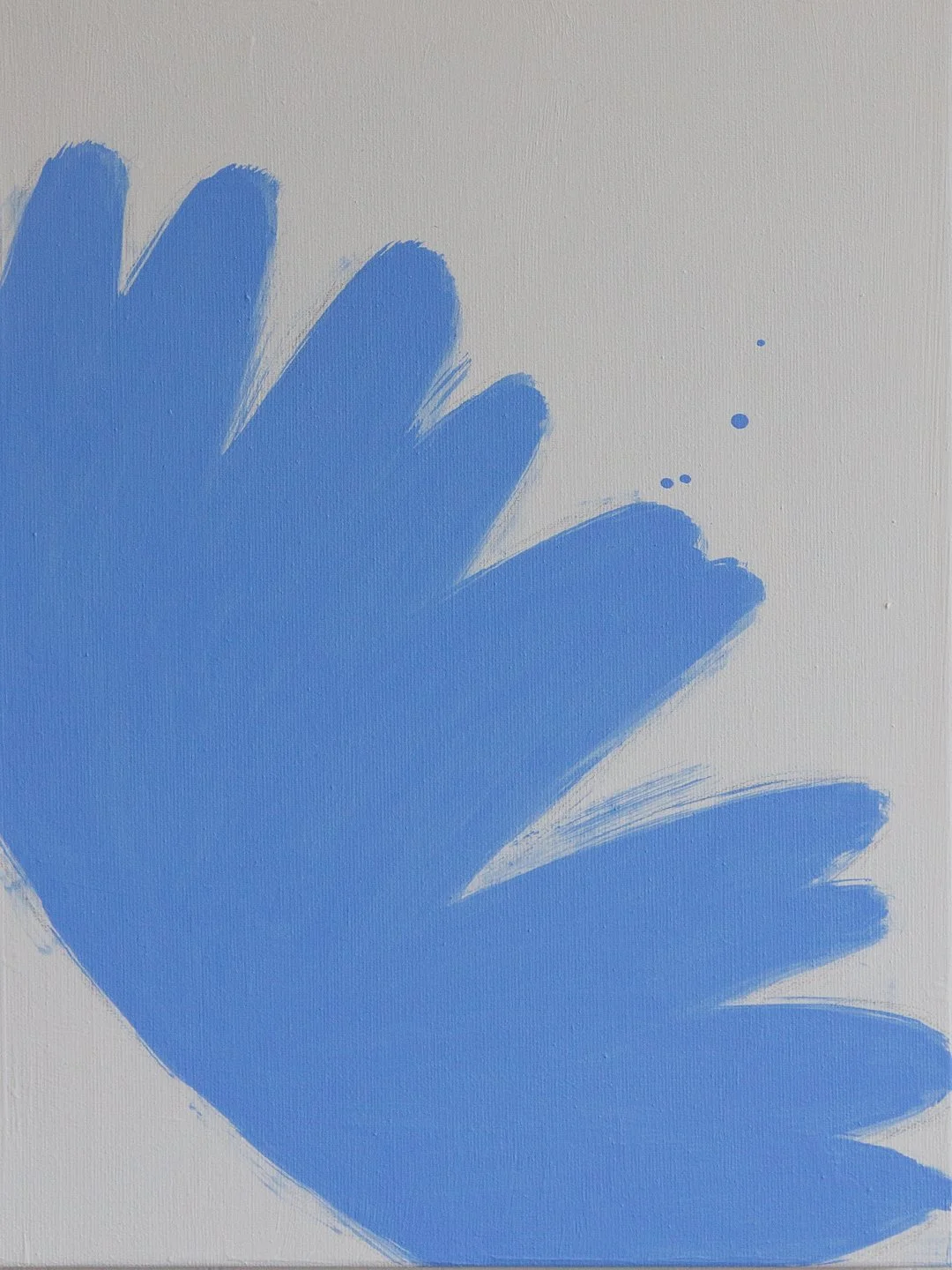 "Botanical Studies I-IV: Chicory" | 40 x 30 cm