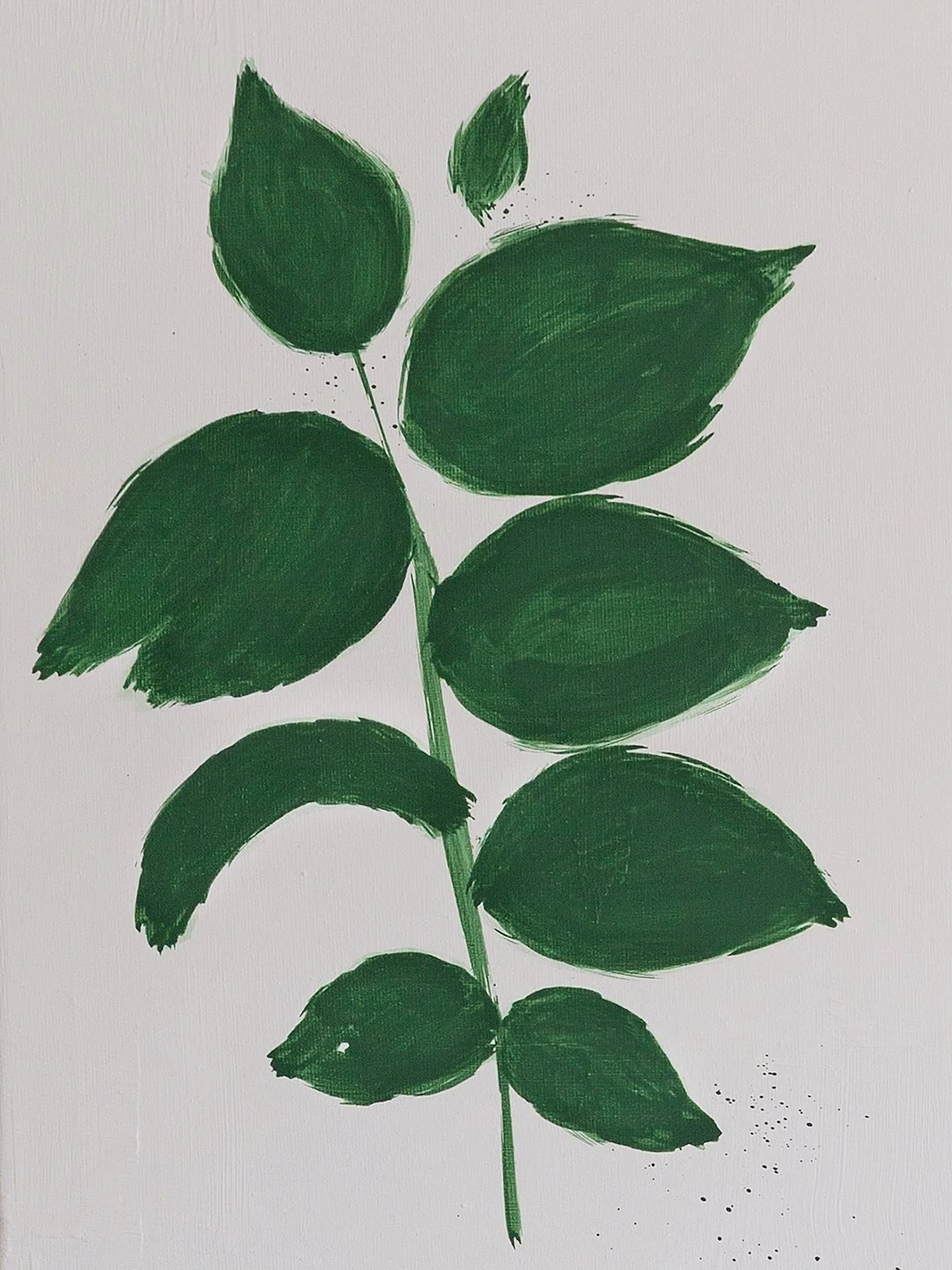 "Botanical Studies I-IV: Hazel" | 40 x 30 cm
