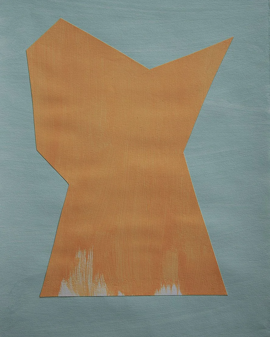 bright orange on aqua closeup.jpg