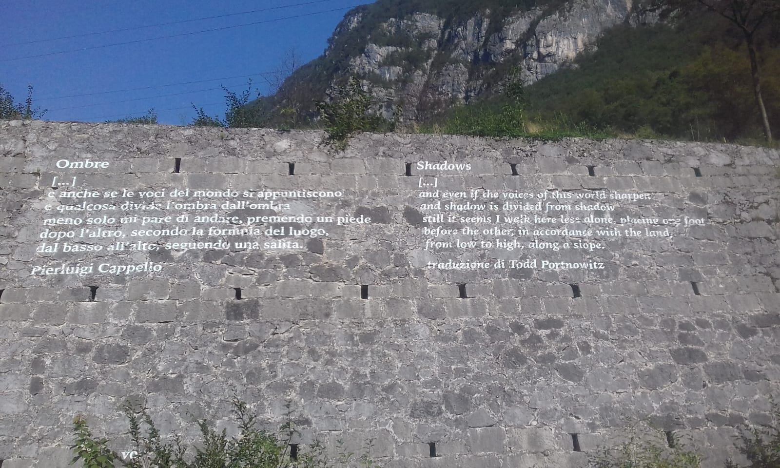 Overview Todd Portnowitz