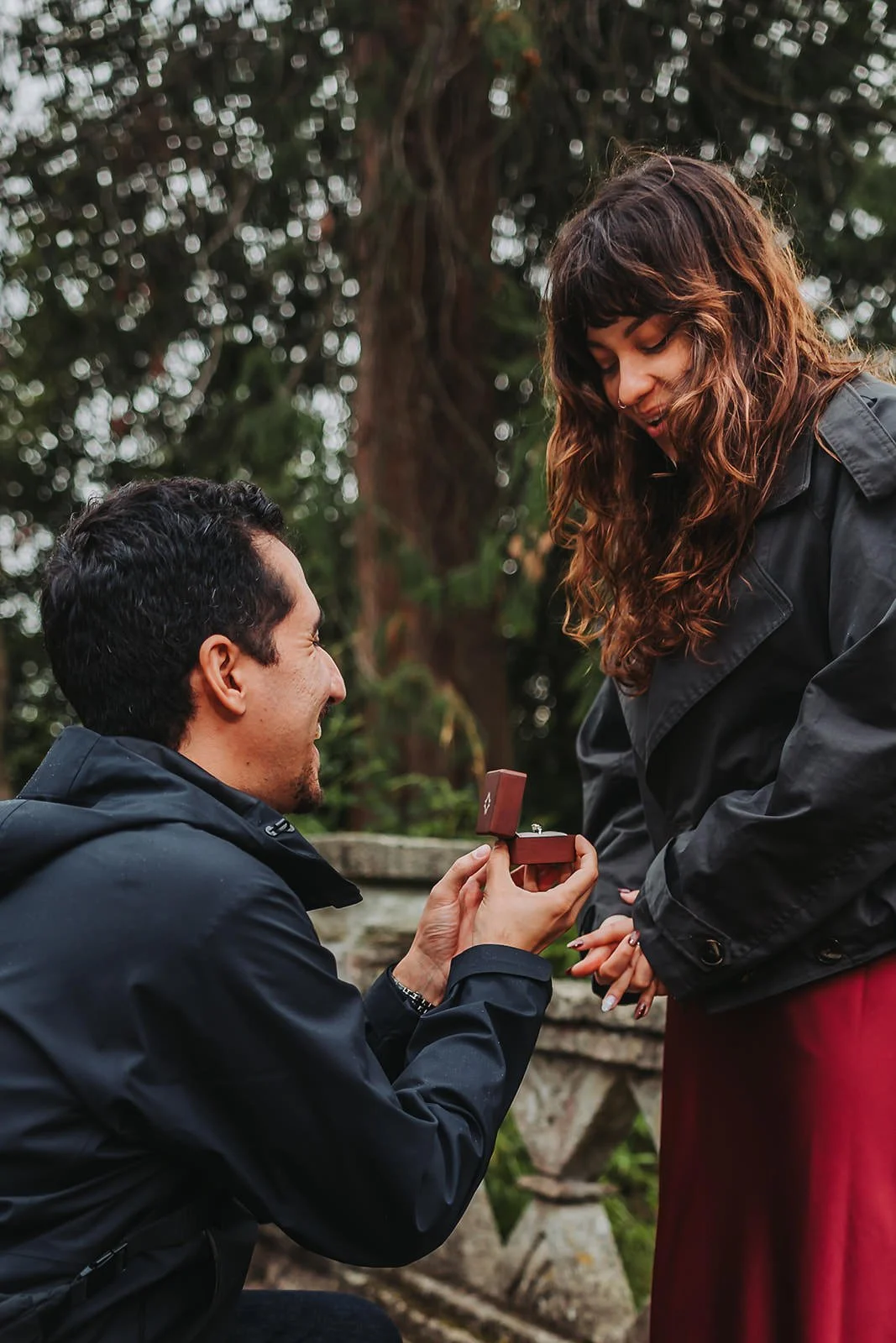 SLPW-Alex-Yani-Surprise-Proposal-9.jpg