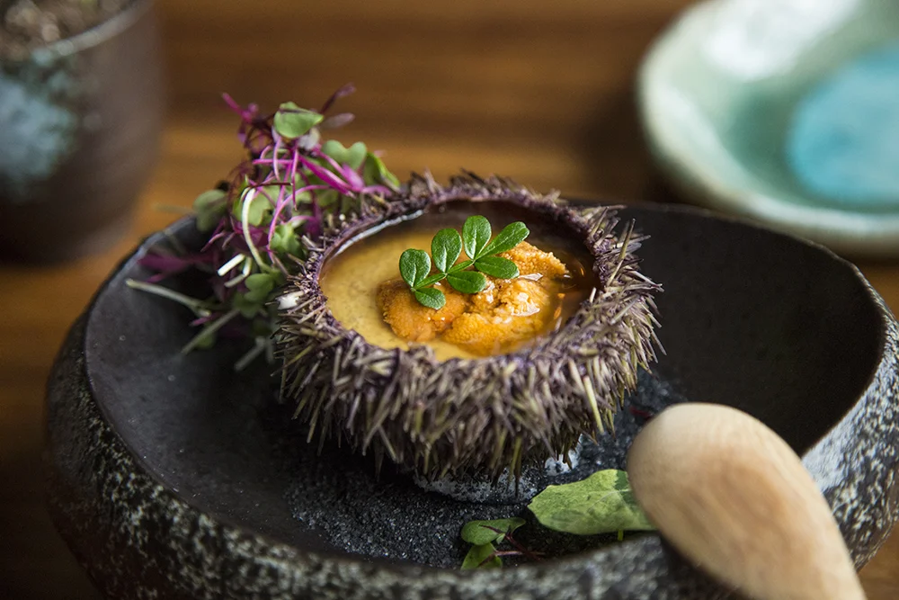 Uni-Truffle-Pudding_02_small.jpg