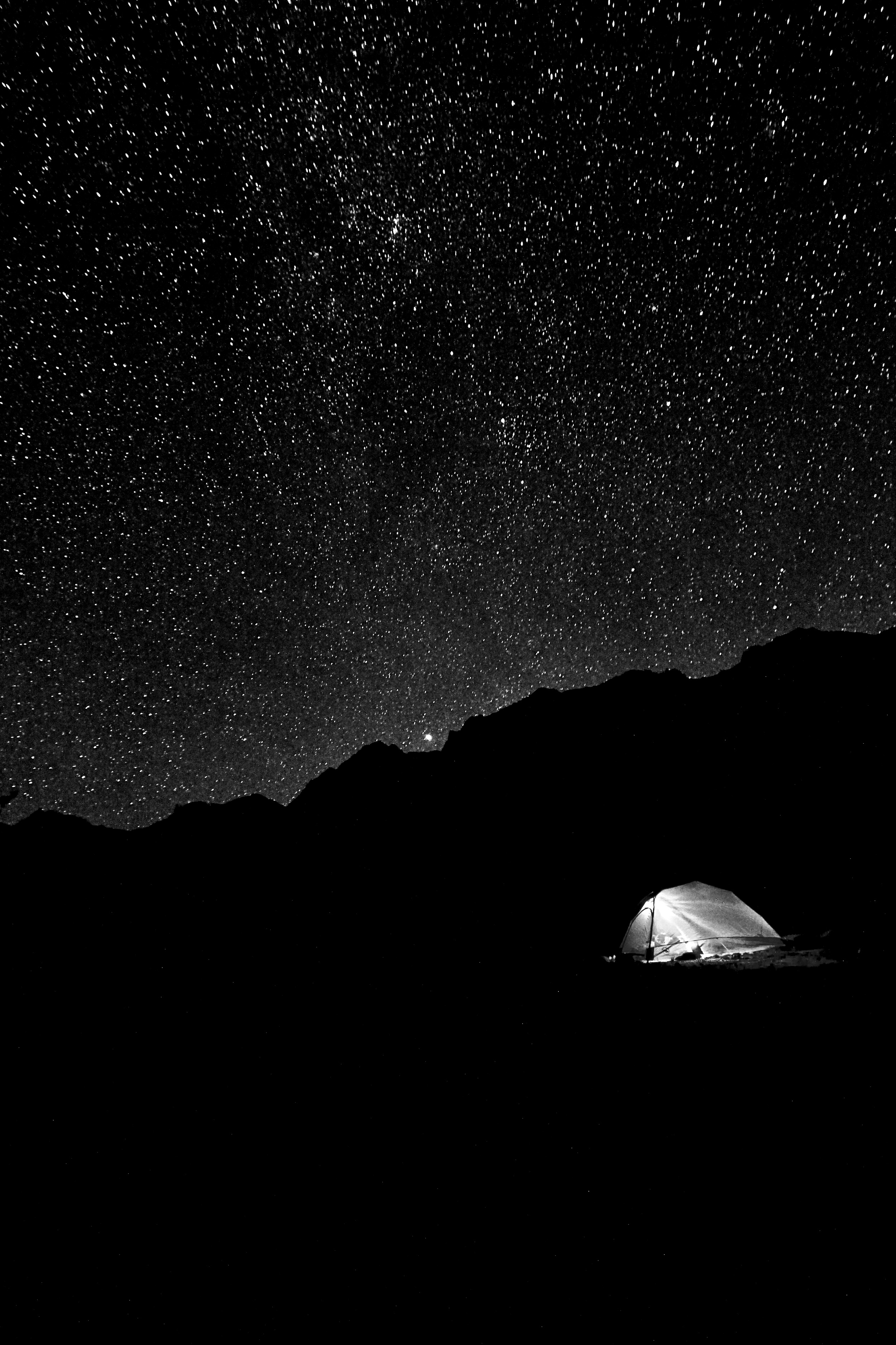 Sierra stars, shining from on high