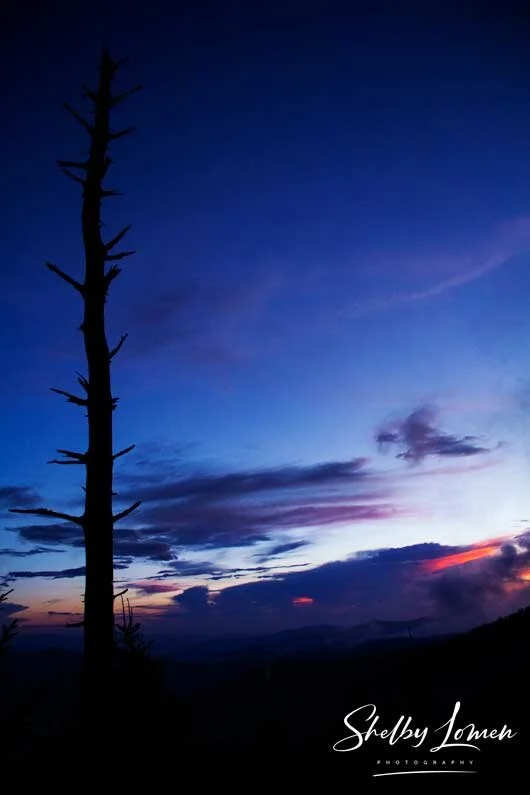 Clingmans-Blue.jpg