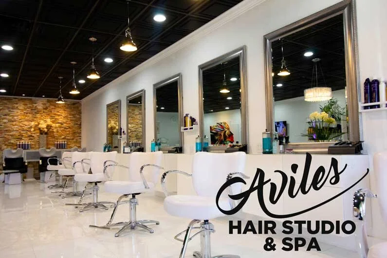 Aviles-Salon-2.jpg