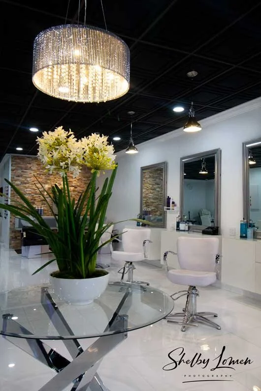 Aviles-Salon-06.jpg
