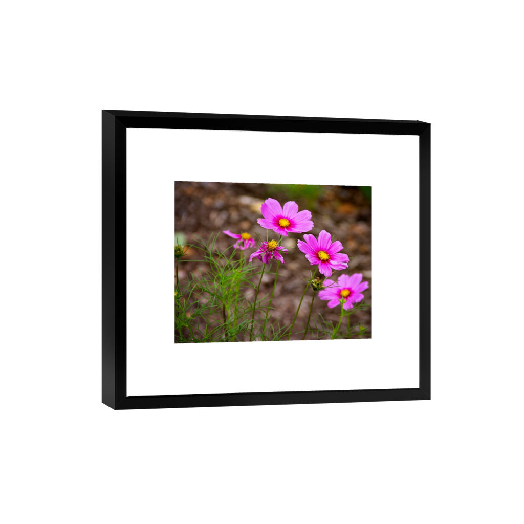 smartframe_rectangle4_5_223_0_2945_2356_0_false_ffffff_0_0.png