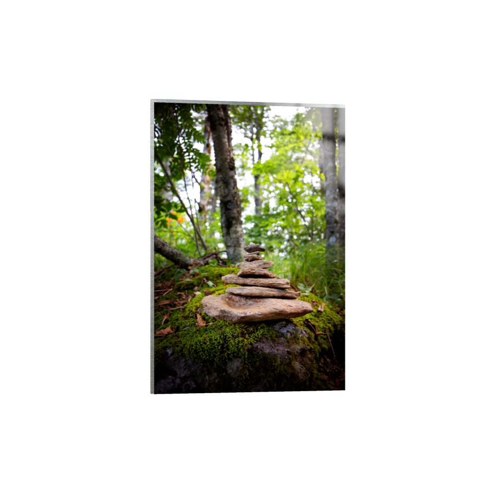 metalprint_rectangle2_3_228_0_3808_5713_0_false_ffffff_0_0.png