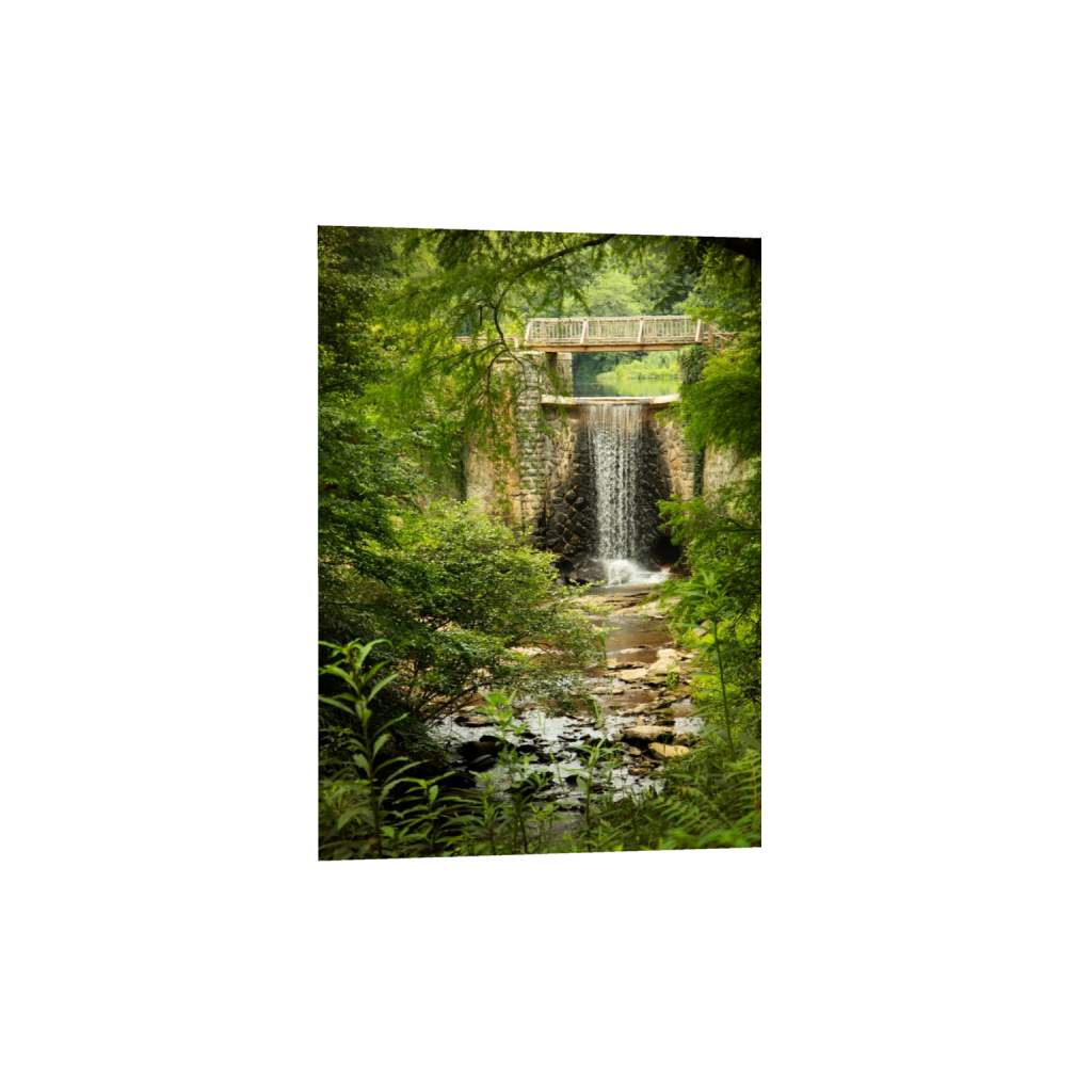 fineartprints_rectangle5_7_0_407_4160_5824_0_false_ffffff_0_0.png