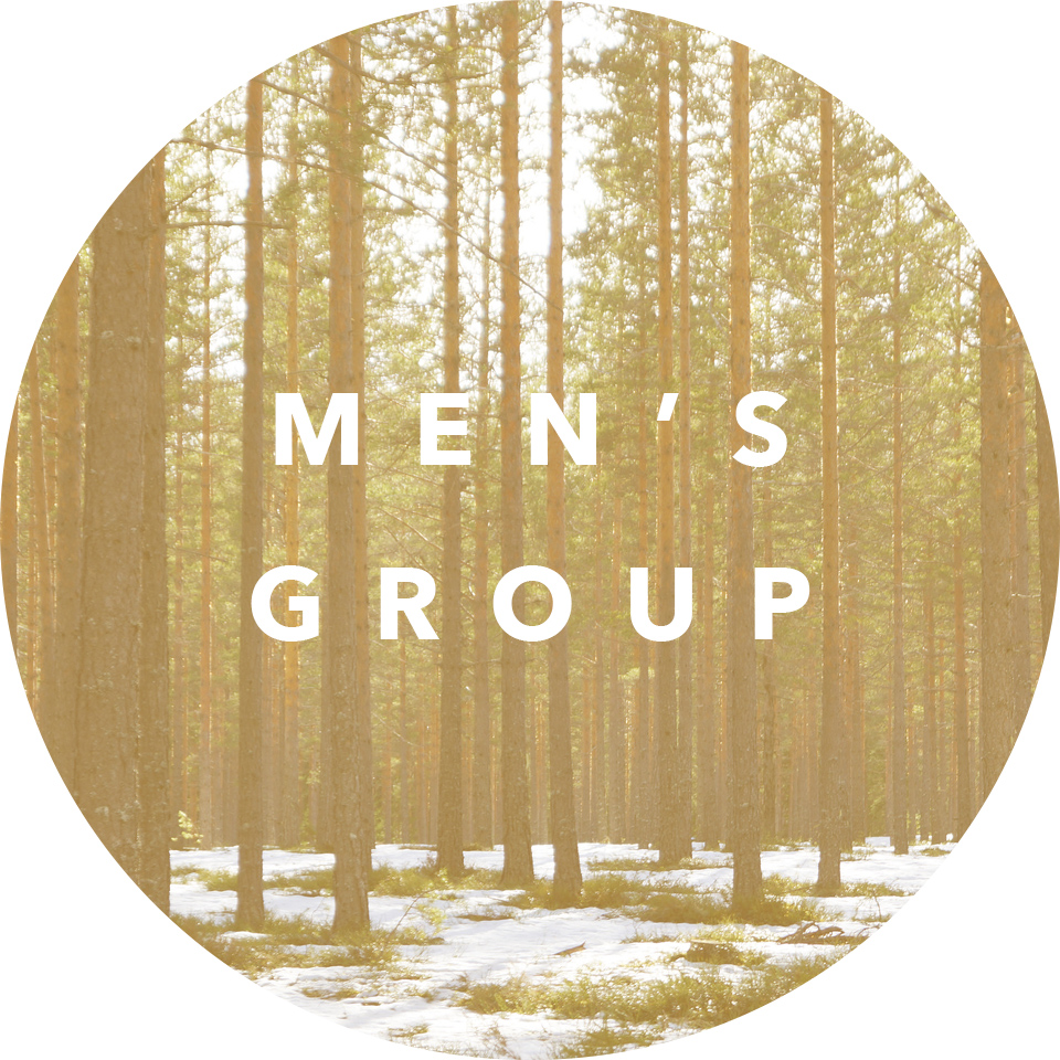 Time: Sunday mornings beginning at 8:50 a.m. Leader: Chris Sheneman Email: chris@newsongvineyard.com