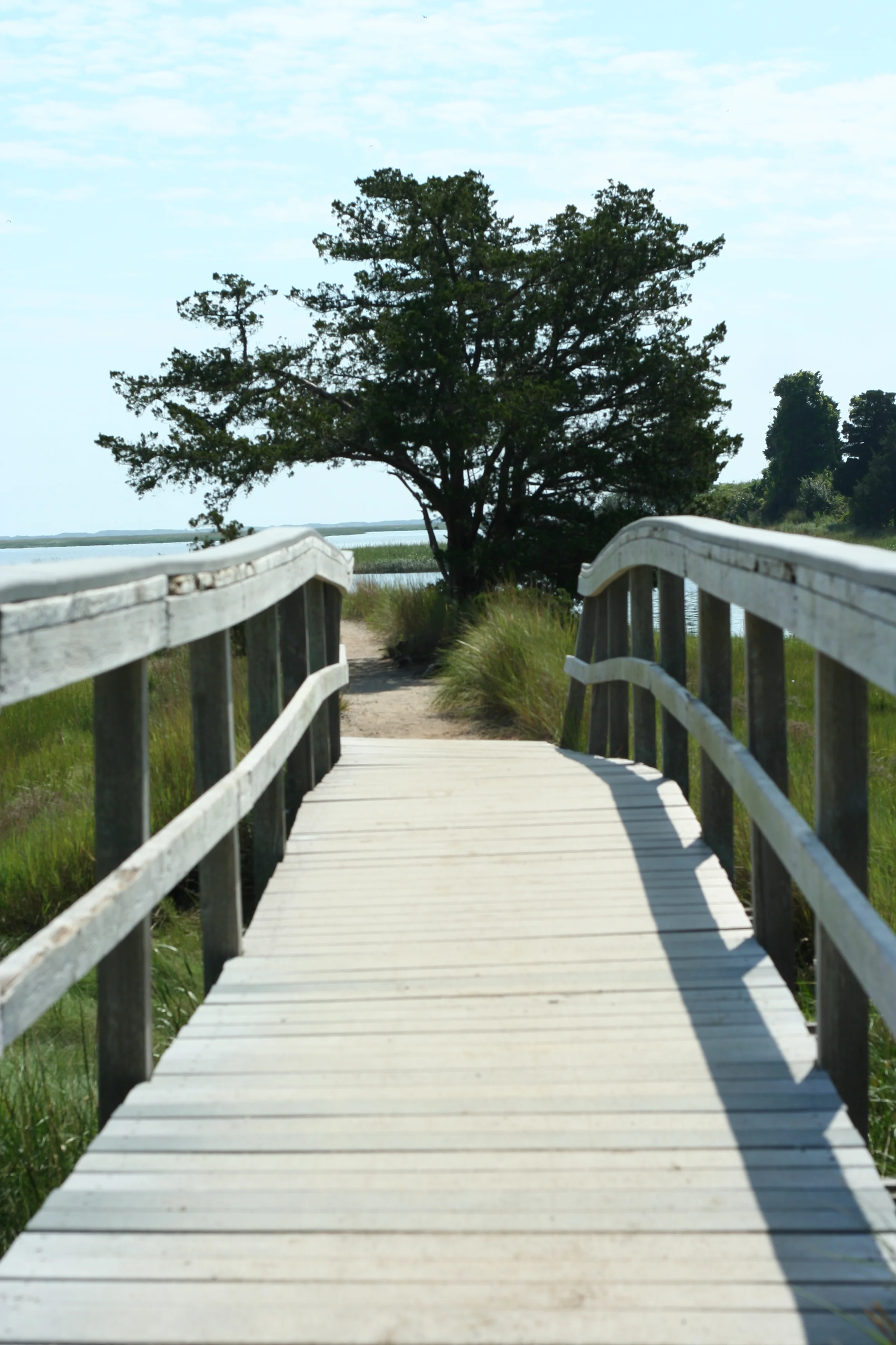 Walking Bridge