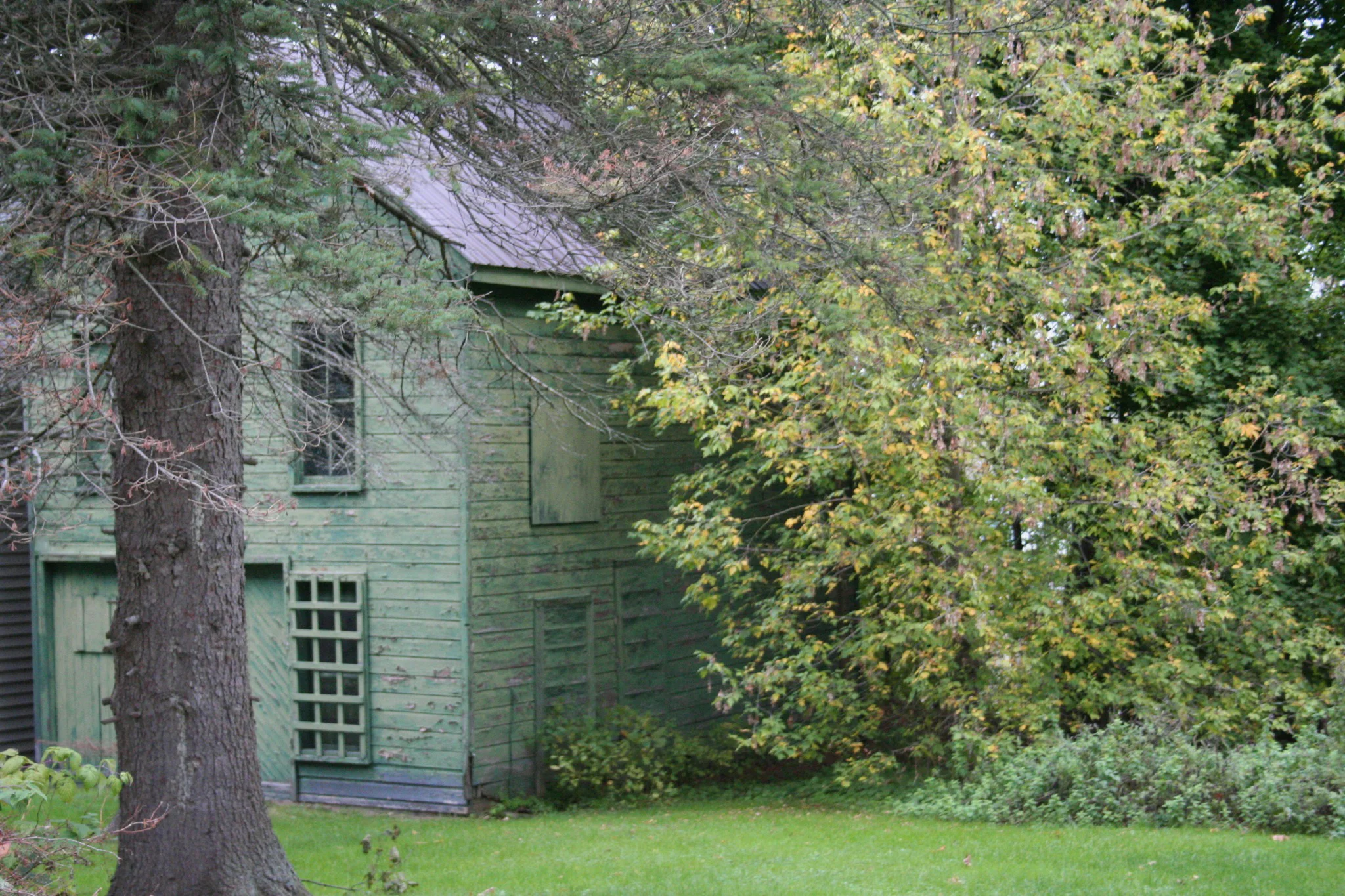 Green House