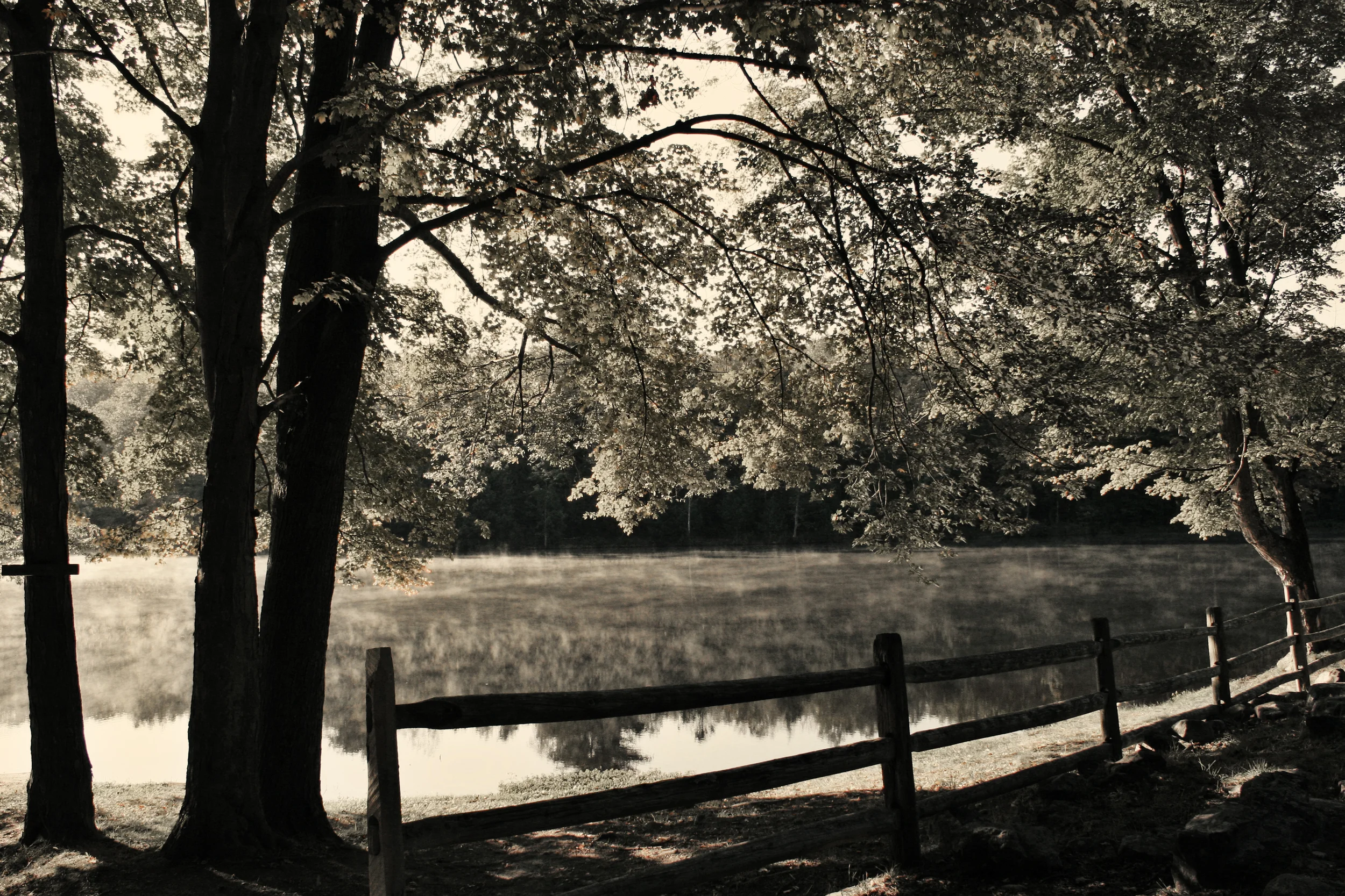 Lake Mist