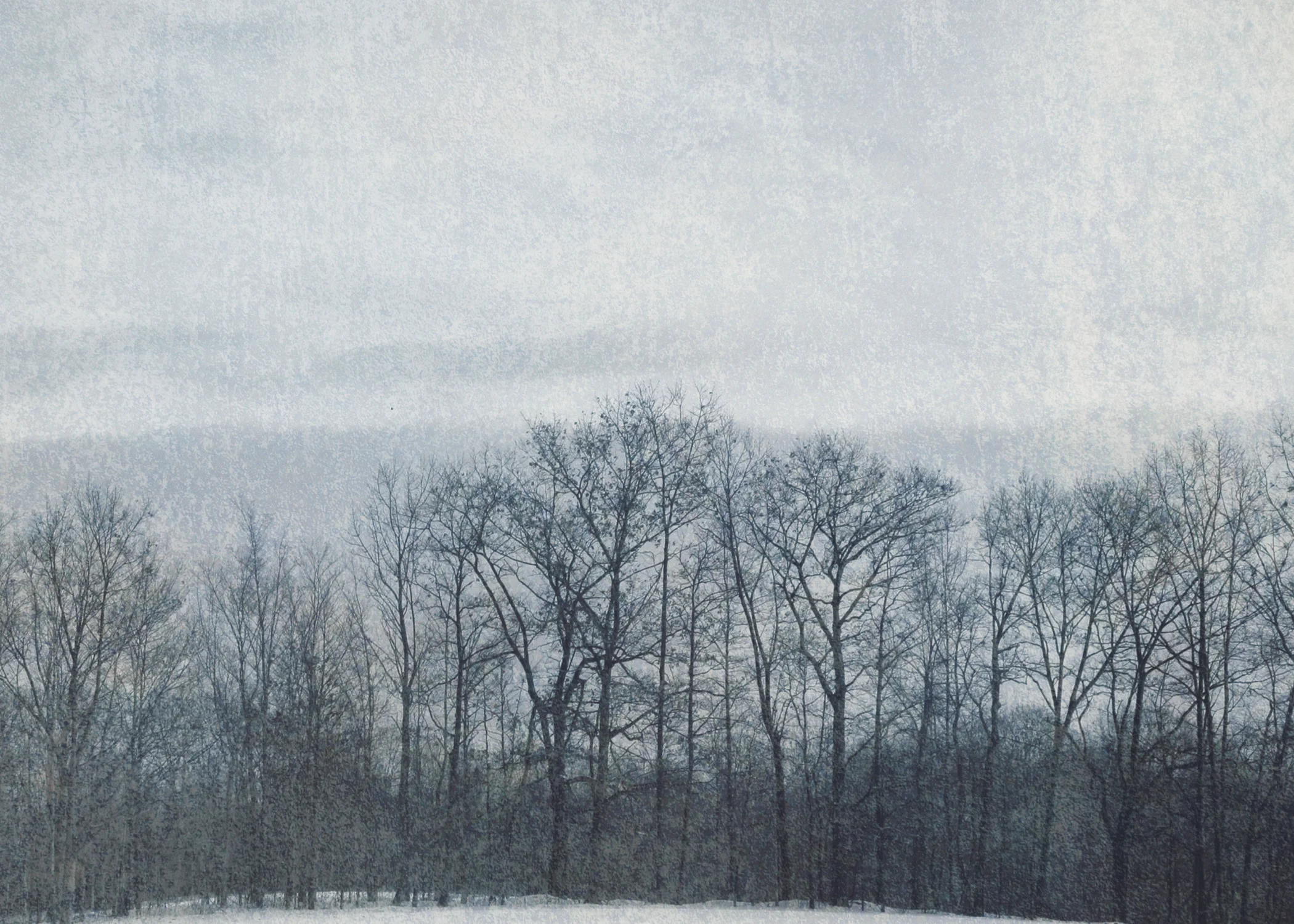 Blue Winter, 2009 | 14x11 | $75