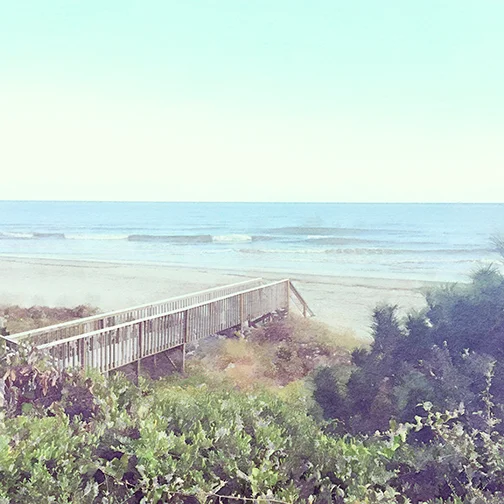 folly beach copy.jpg