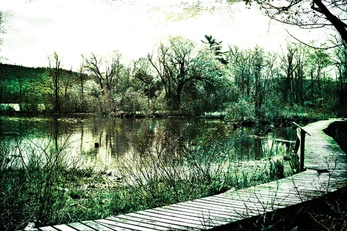 glimmerglass copy.jpg