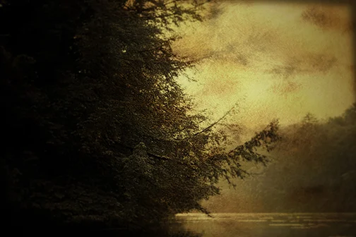 lake and tree copy.jpg