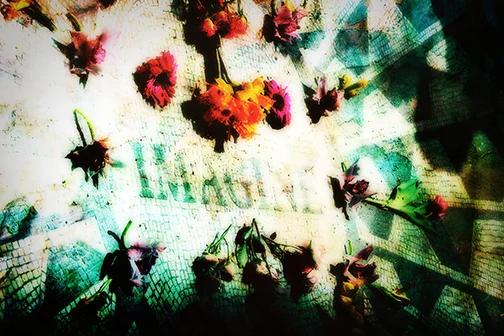 strawberry fields copy.jpg