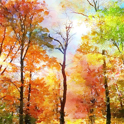 fall.jpg