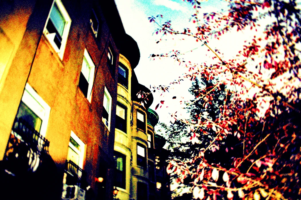 Brooklyn Heights, 2008 | 14x11 | $75