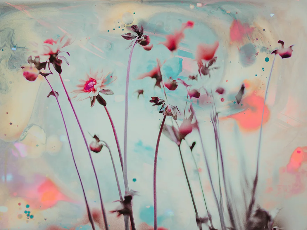wildflowers copy.jpg