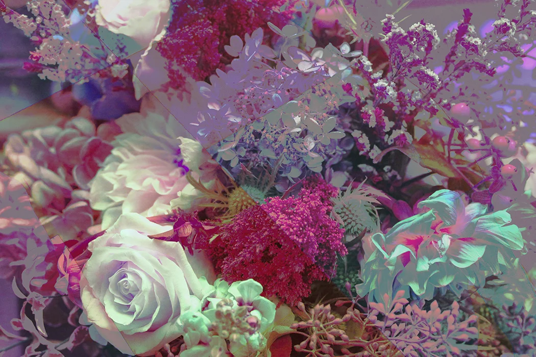 flower dream copy.jpg