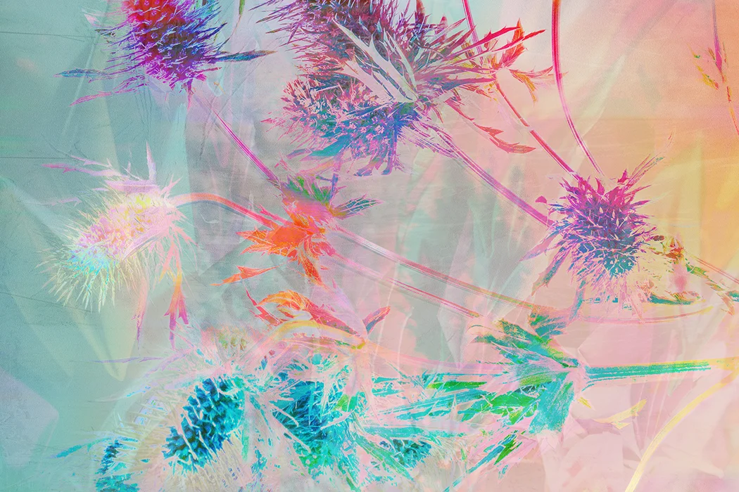 tropical flowers copy.jpg