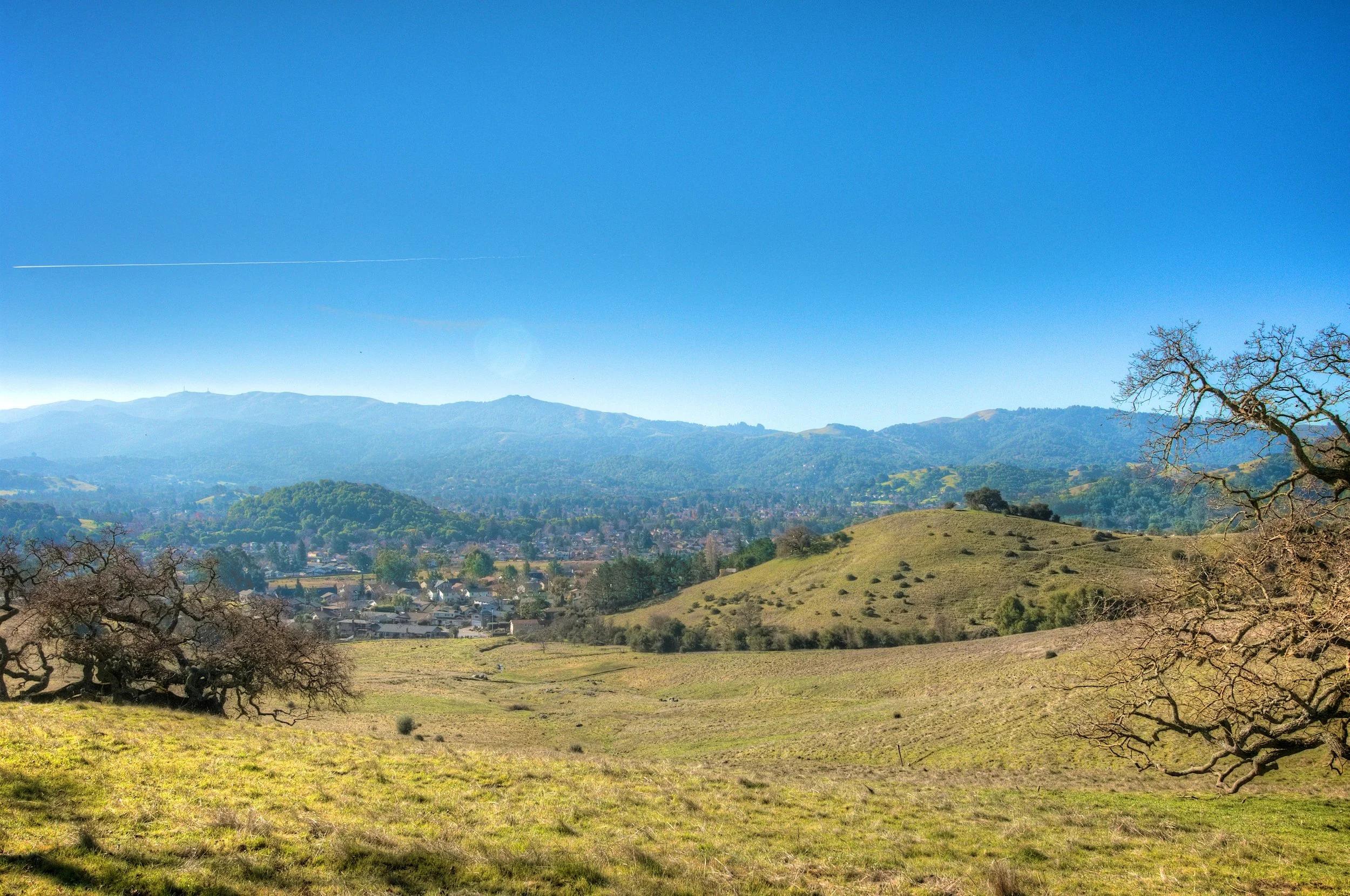novato_openspace.jpg