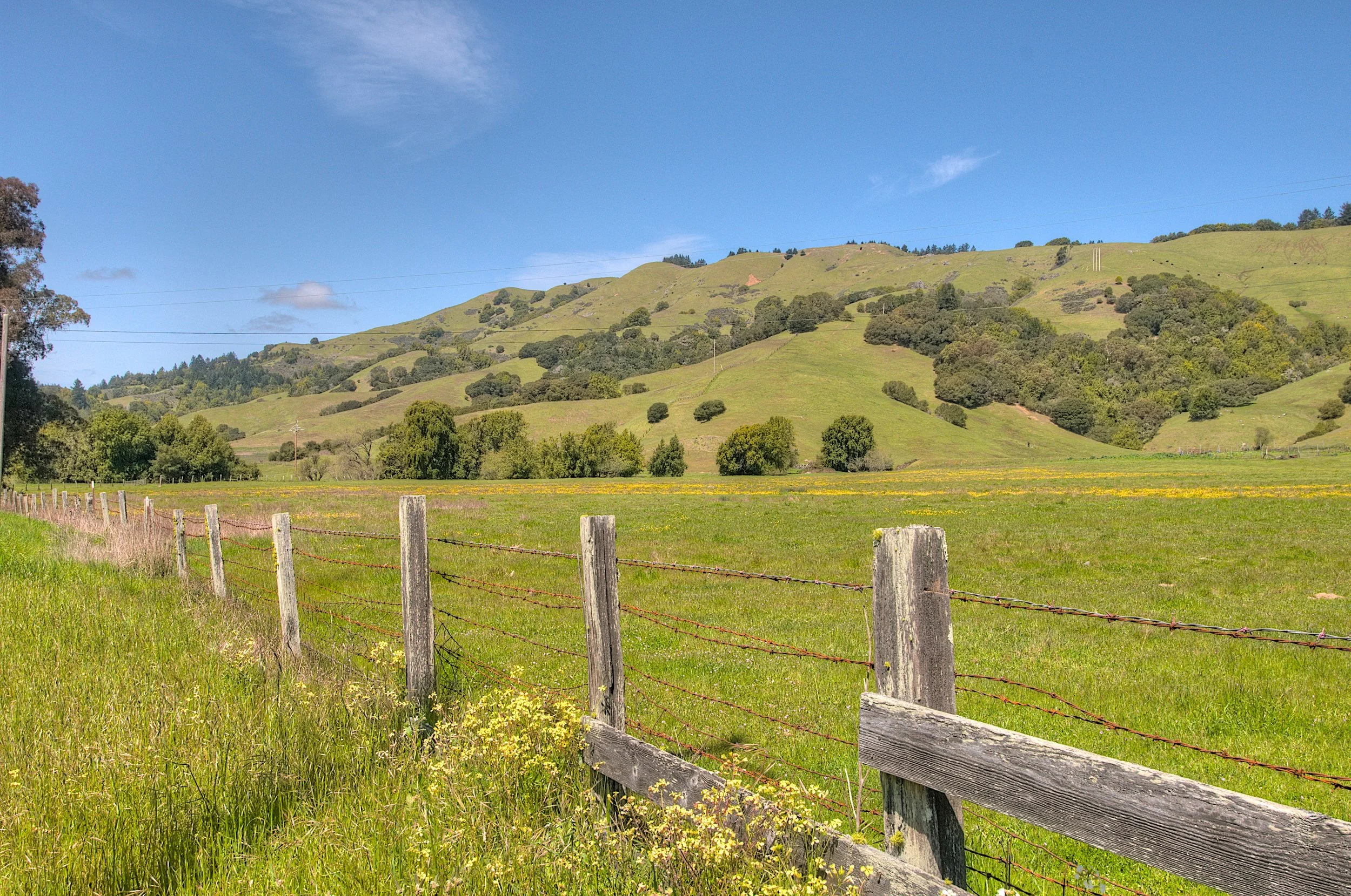 westmarin_farmlands.jpg