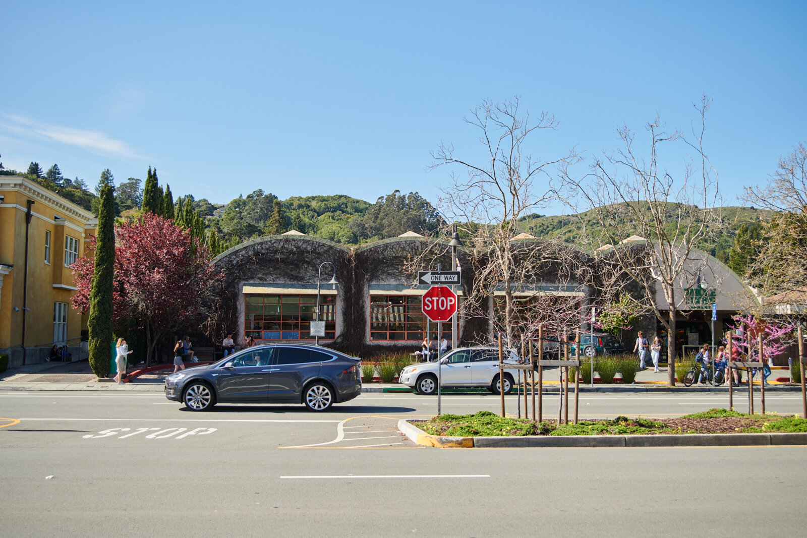 Whole Foods Market