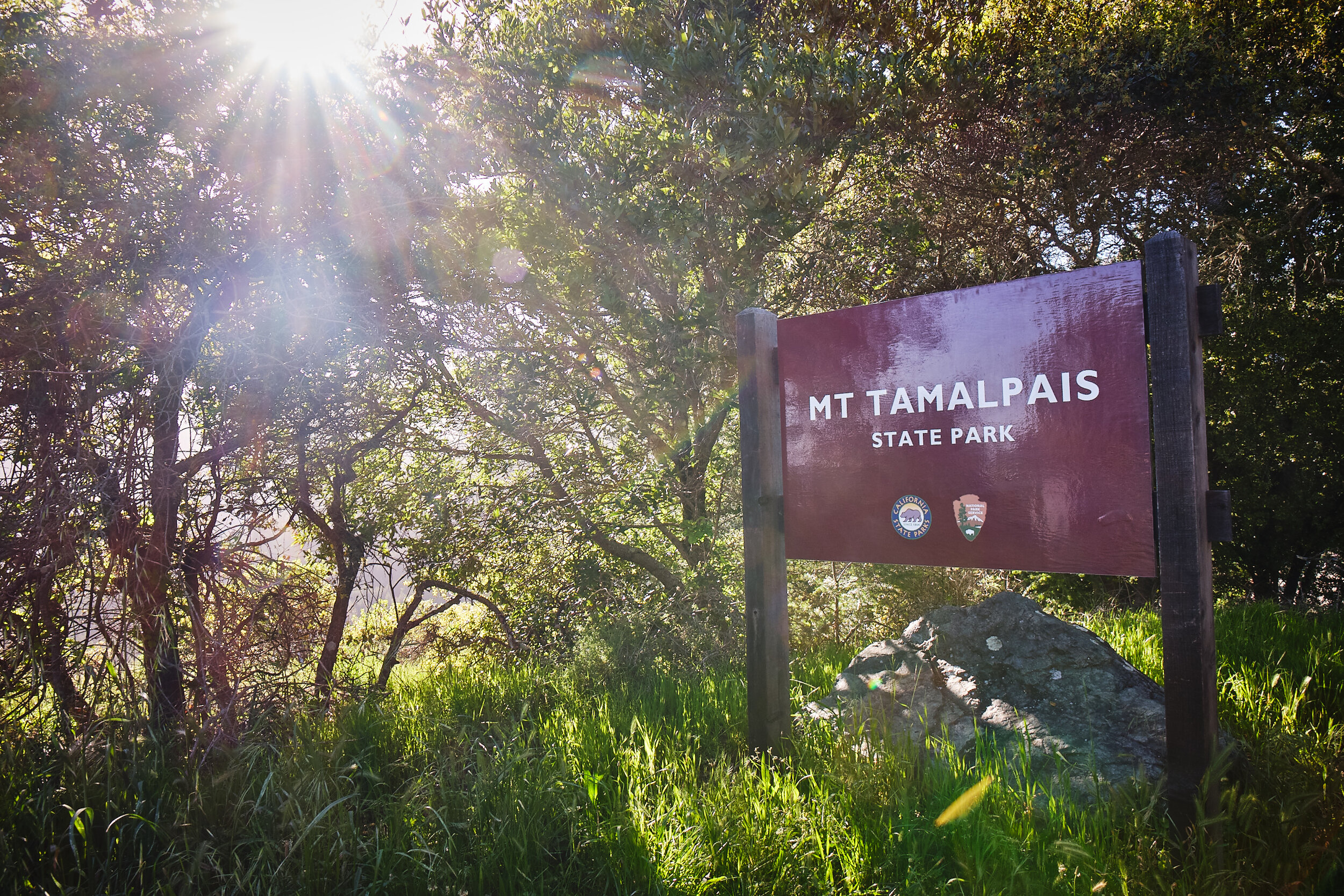 Mt. Tamalpais State Park