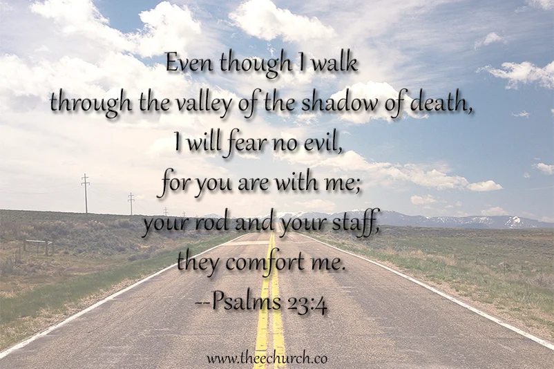 Moving From Comfort to Courage