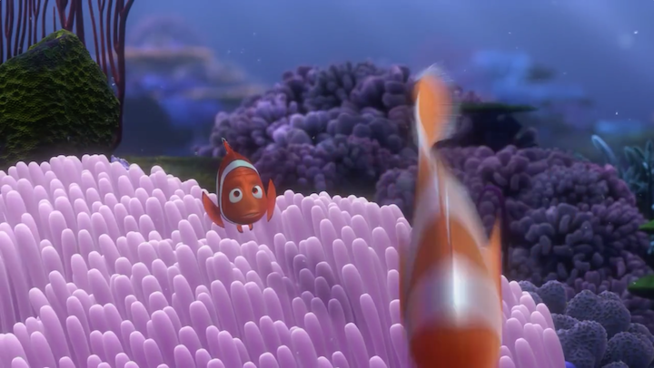 coral finding nemo
